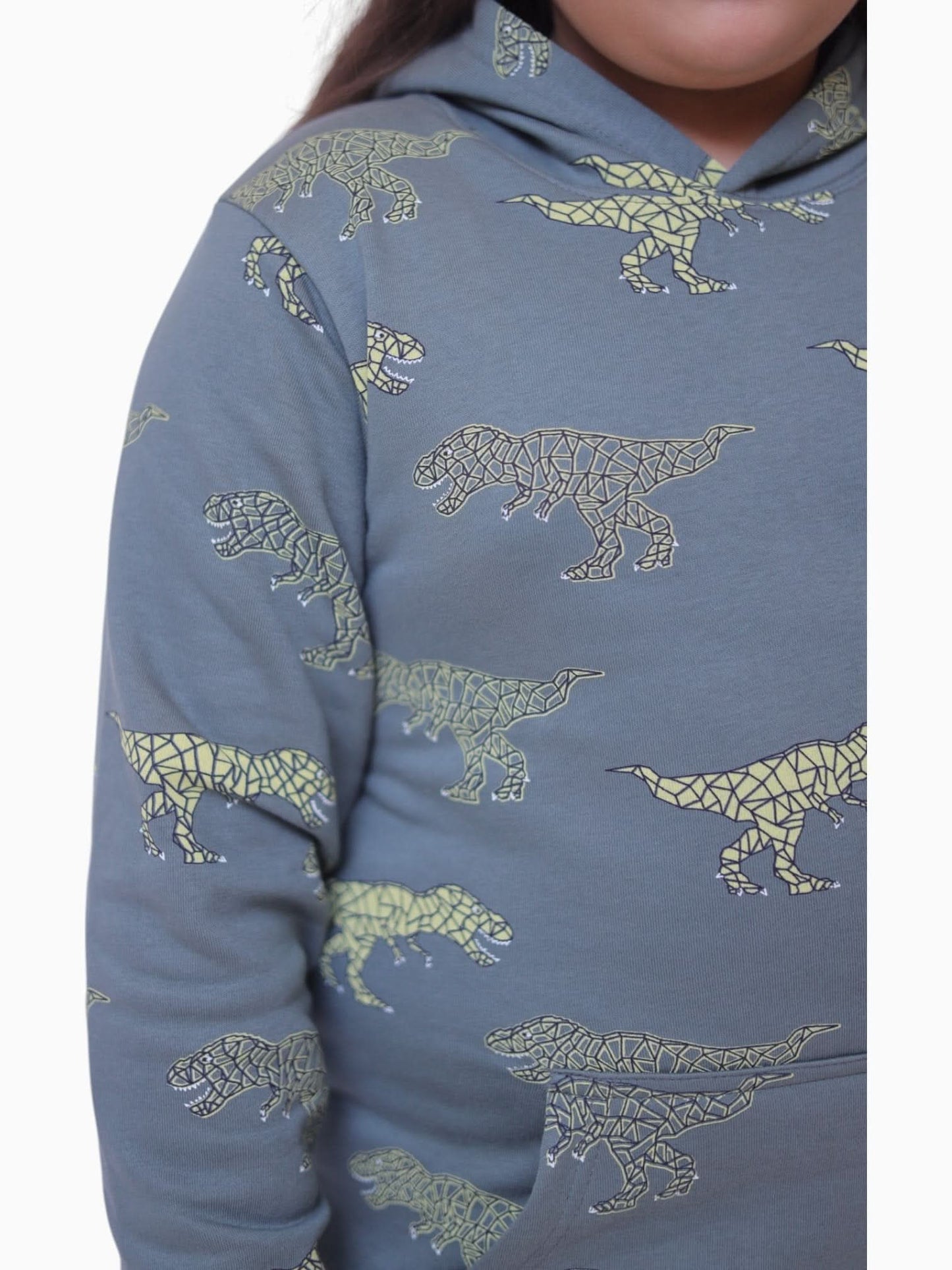 Kids Dinosaur Hoodie